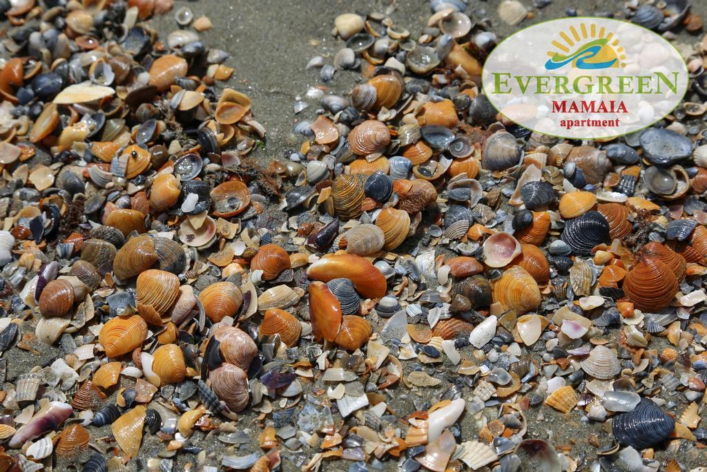 Evergreen Vlas Mamaia Sud Esterno foto