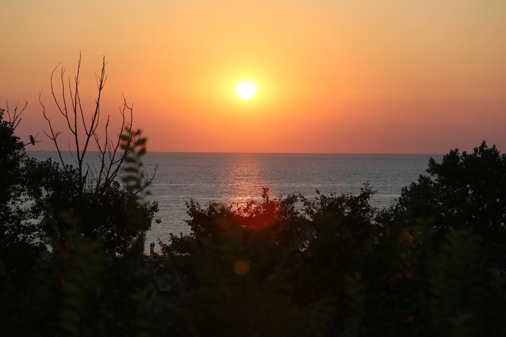 Evergreen Vlas Mamaia Sud Esterno foto
